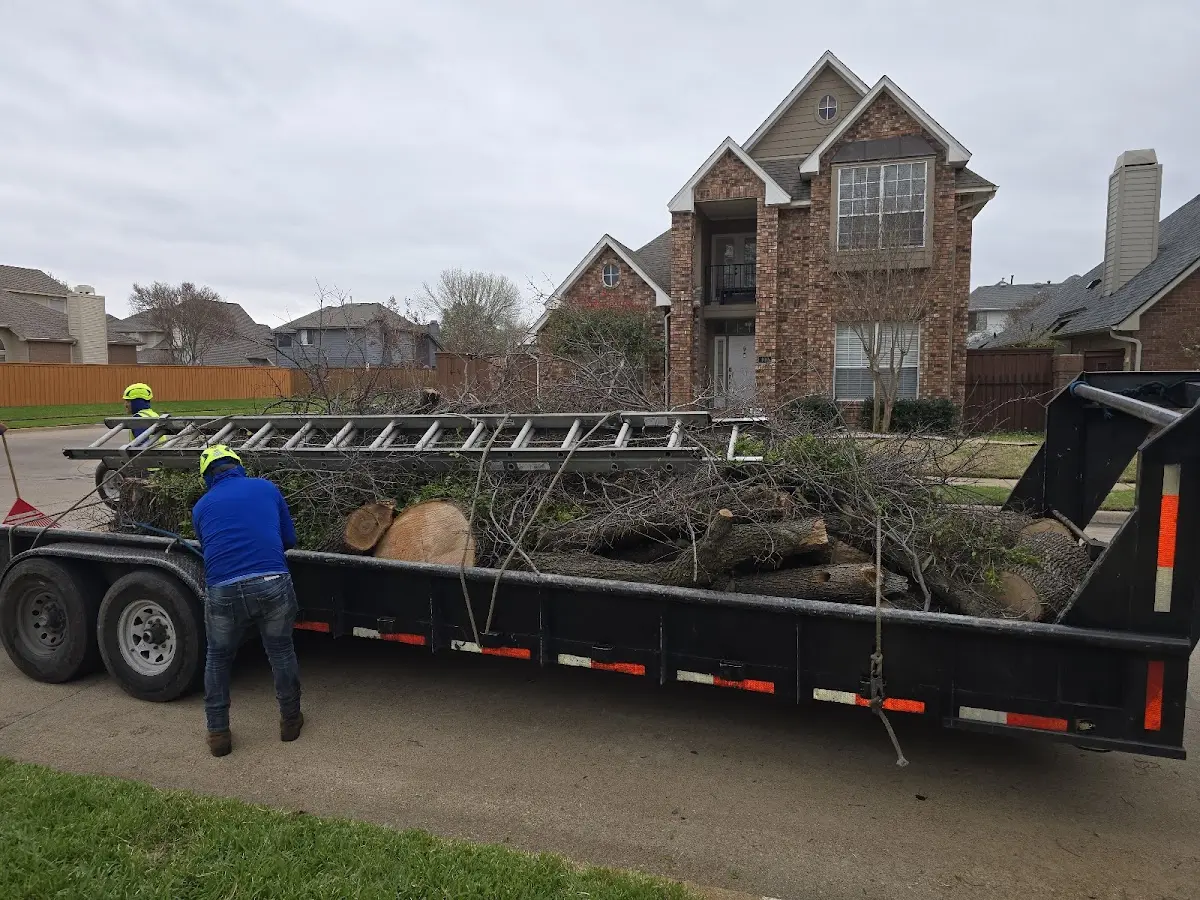 Expert Tree Fertilization with proper safety equipment in Longs